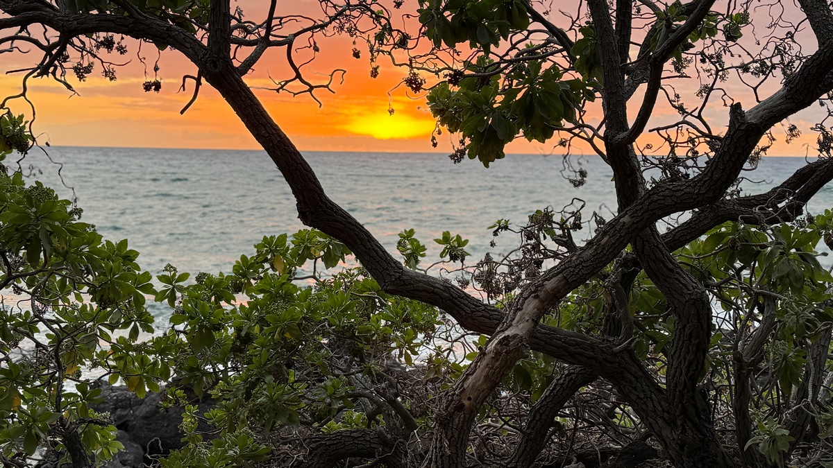 Sunset1